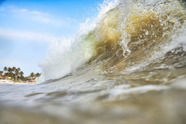 Best Surf Resources to Improve Your Skills Fast