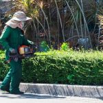 Tree Care Enterprises Complete Arborist Solutions in Your Area