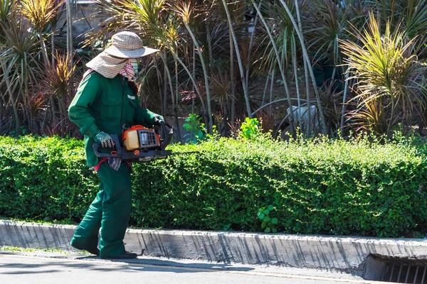 Tree Care Enterprises Complete Arborist Solutions in Your Area