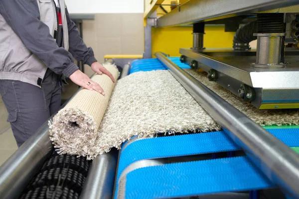 Expert Carpet Cleaning Services for Homes & Businesses