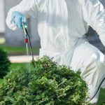 Protect Your Yard With Professional Lawn Pest Control