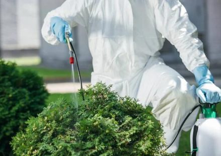 Protect Your Yard With Professional Lawn Pest Control