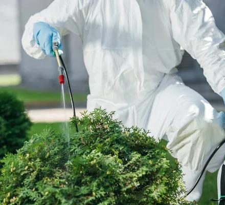 Protect Your Yard With Professional Lawn Pest Control