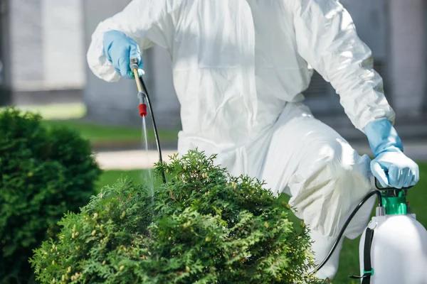 Protect Your Yard With Professional Lawn Pest Control