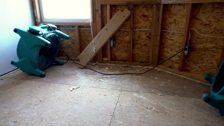 Top-Rated Indianapolis Crawl Space Services Near You