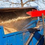 Finding Dependable Tree Service Near Me for Your Property