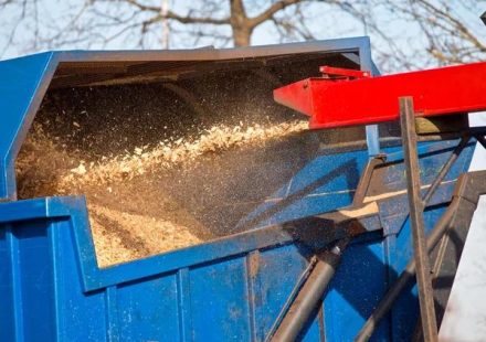Finding Dependable Tree Service Near Me for Your Property